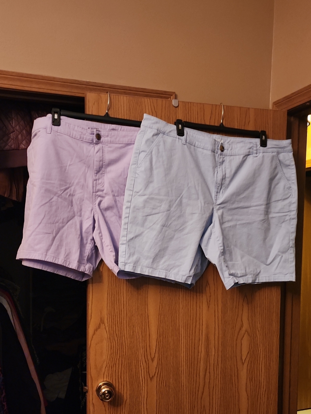 a.n.a Women's Lavender and Light Blue Casual Shorts